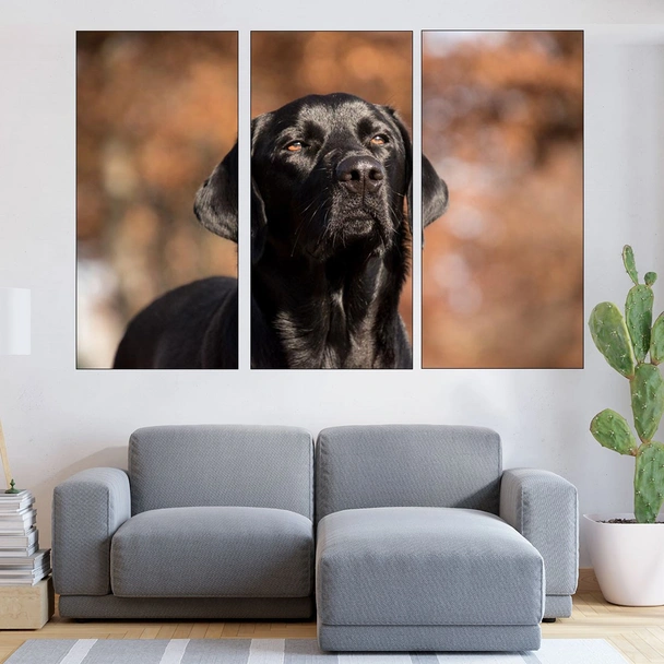 Портрет на черен лабрадор - картина пано за стена - Image 2