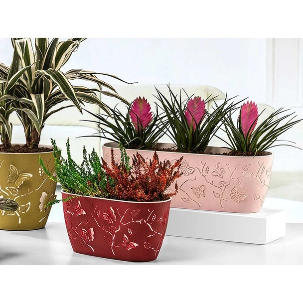 Сандъче 3D Пеперуди 29 см RG - Image 8