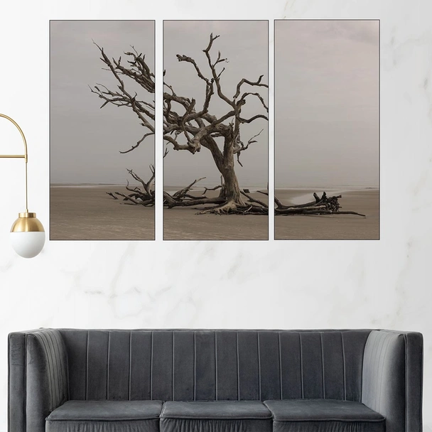 Сухо дърво на плажа - картина пано за стена - Image 2
