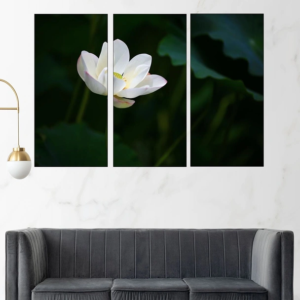 Цъфнал бял лотос - картина пано за стена - Image 2