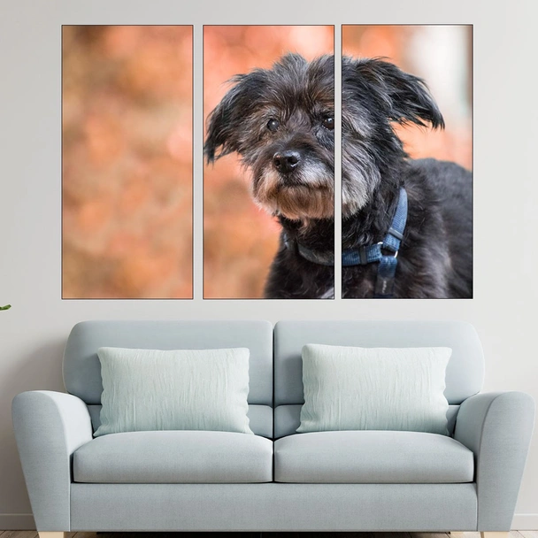 Потрет на черно куче  - картина пано за стена - Image 2