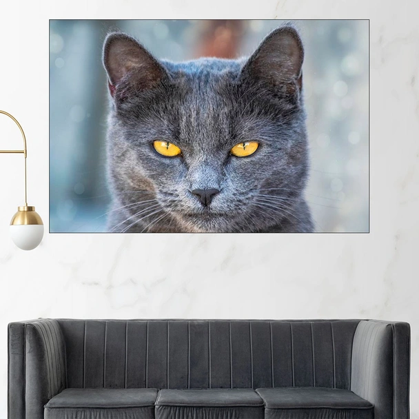 Черна котка с жълти очи - картина пано за стена
