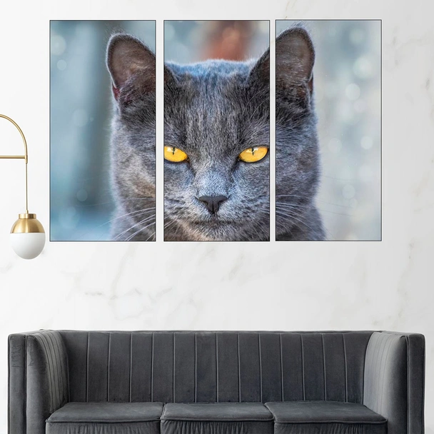 Черна котка с жълти очи - картина пано за стена - Image 2