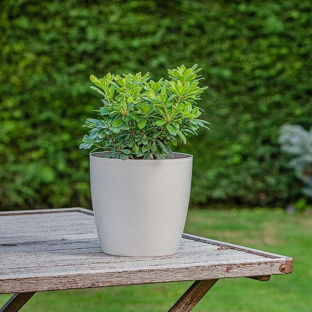 Саксия с дренаж 14x12.5x9 см 1.9 л мръснобяла SERINOVA - Image 2