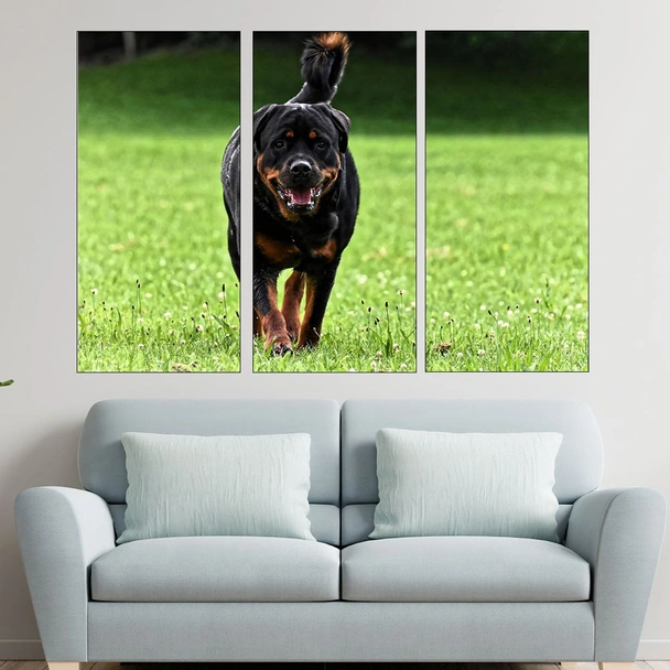 Ротвайлер на поляната - картина пано за стена - Image 2