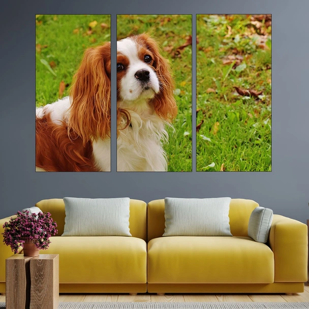 Шпаньол в близък план - картина пано за стена - Image 2