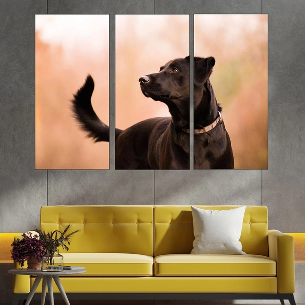 Красив черен лабрадор - картина пано за стена - Image 2