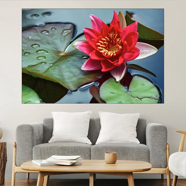 Цъфнала червена водна лилия - картина пано за стена