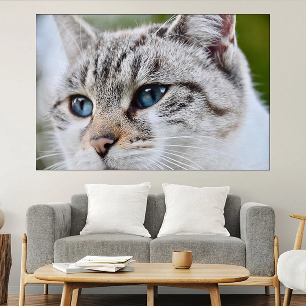 Потрет на котка със съни очи - картина пано за стена