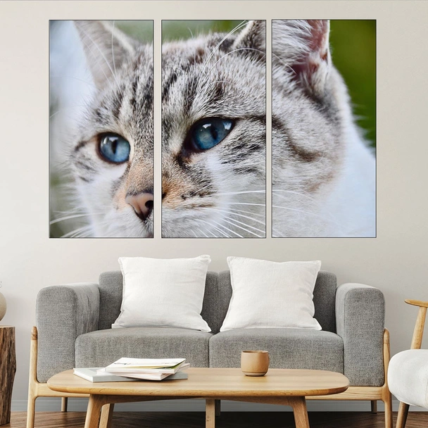 Потрет на котка със съни очи - картина пано за стена - Image 2