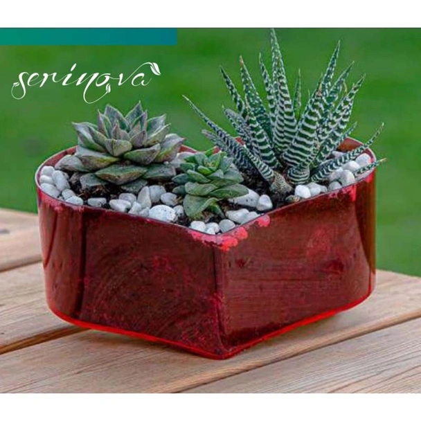 Кашпа сърце 21x15.8x8.6 см 1.7 л SERINOVA - Image 3