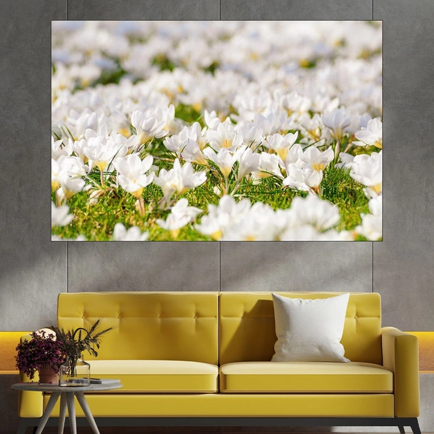 Поляна с бели мизухари - картина пано за стена
