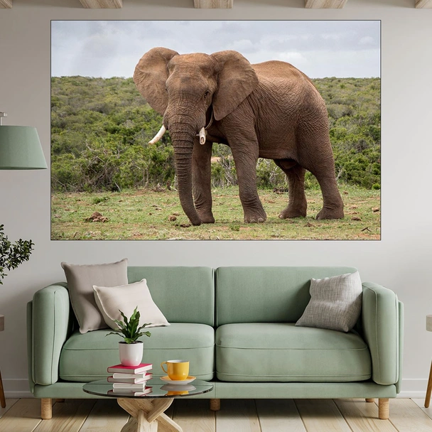 Африкански слон в саваната - картина пано за стена