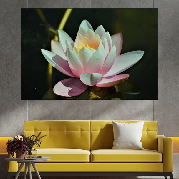 Цъфнала бяла водна лилия - картина пано за стена
