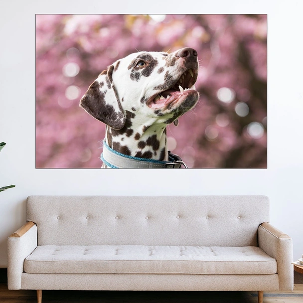Портрет на далматинец - картина пано за стена