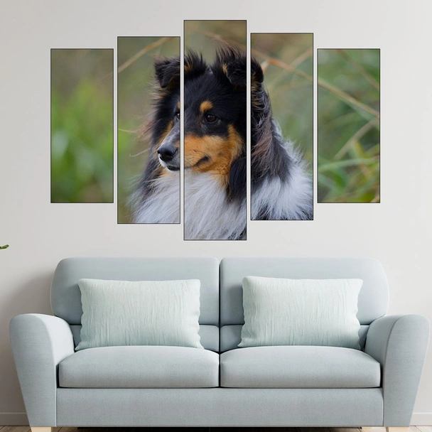 Портрет на Шотландска овчарка - картина пано за стена - Image 3