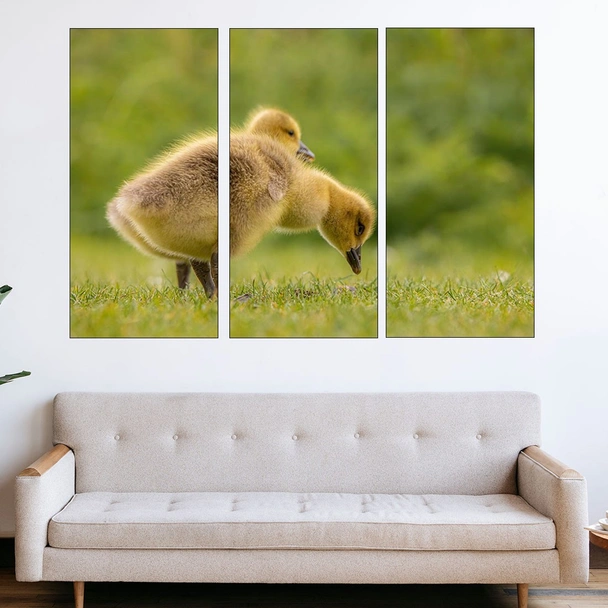 Малки гъсета - картина пано за стена - Image 2