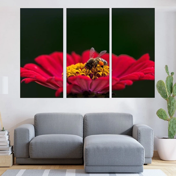 Пчела върху циния - картина пано за стена - Image 2