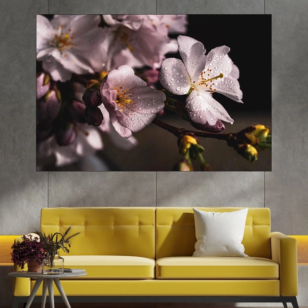 Роса върху черешов цвят - картина пано за стена