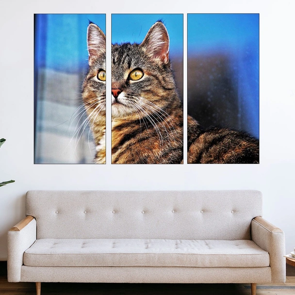 Портрет на улична котка - картина пано за стена - Image 2