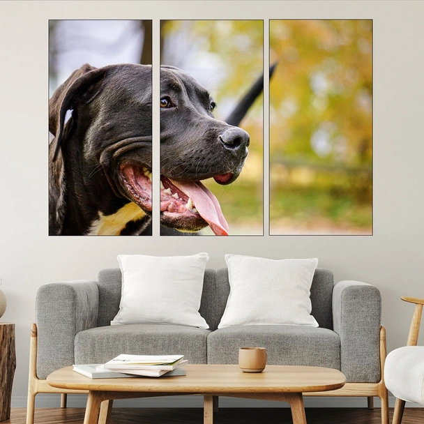 Портрет на черен Питбул - картина пано за стена - Image 2