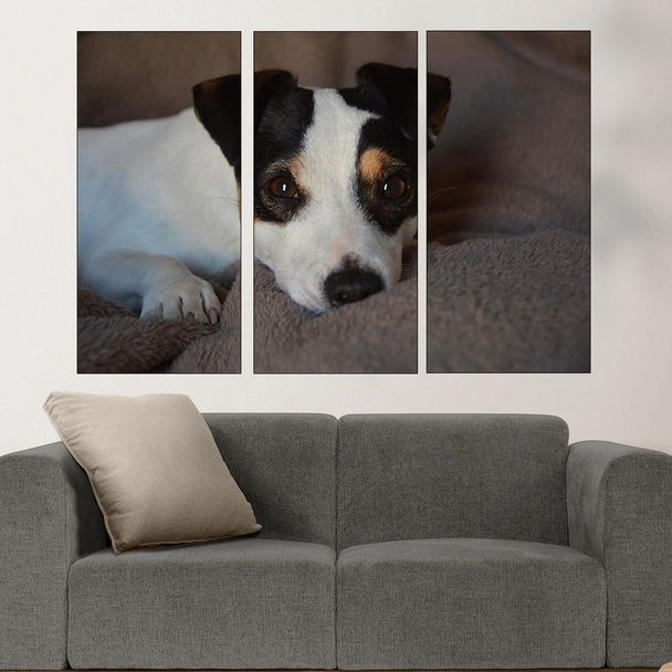 Игрив малък джак ръсел  - картина пано за стена - Image 2