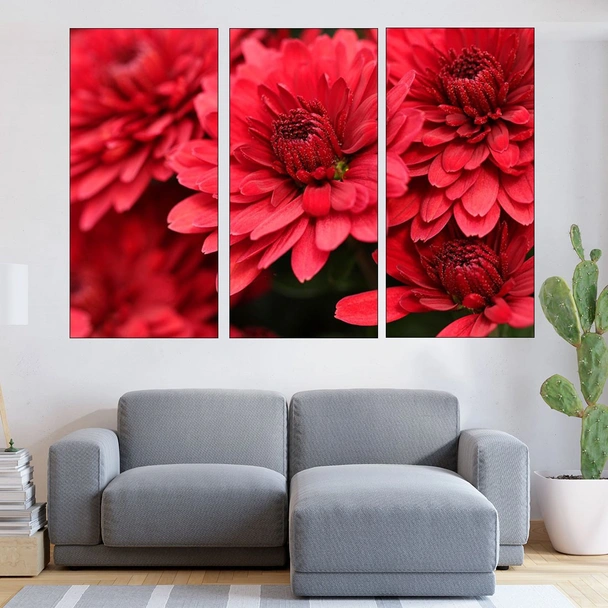 Червени хризантеми - близък план - картина пано за стена - Image 2