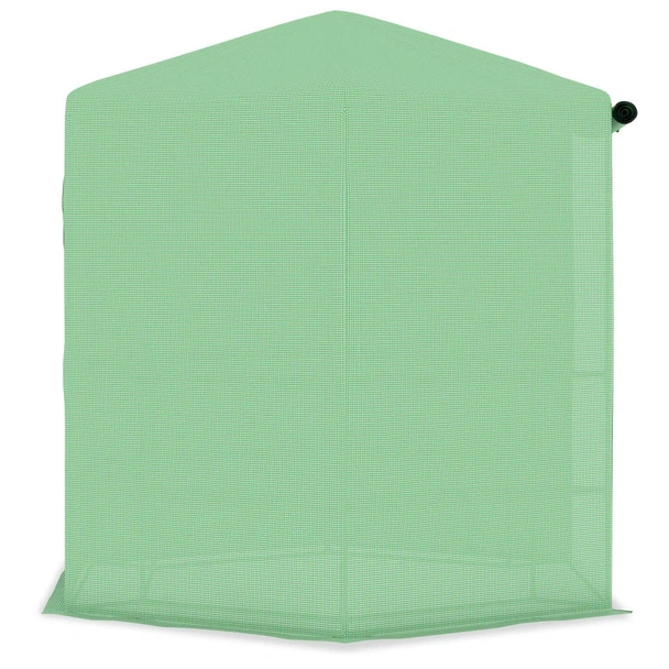 Оранжерия с рафтове, стомана, 227x223 см - Image 4