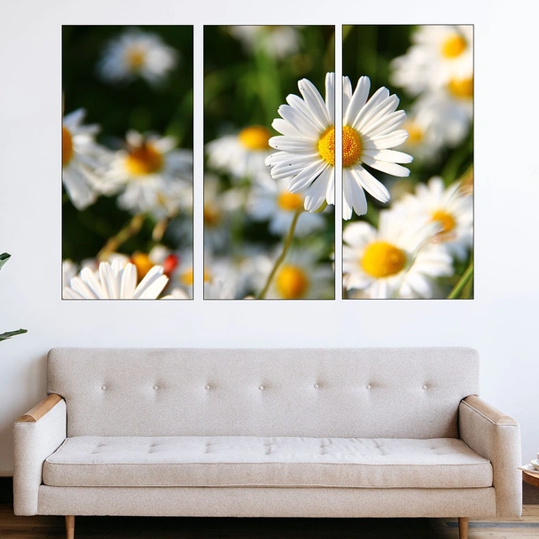 Цветя бели маргаритки - картина пано за стена - Image 2