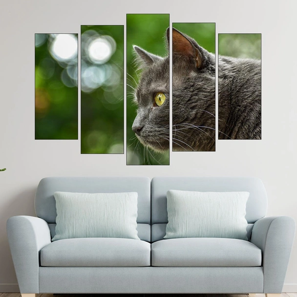 Вторачено сиво коте  - картина пано за стена - Image 3