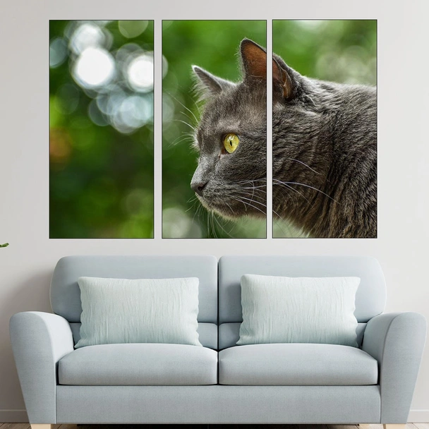 Вторачено сиво коте  - картина пано за стена - Image 2