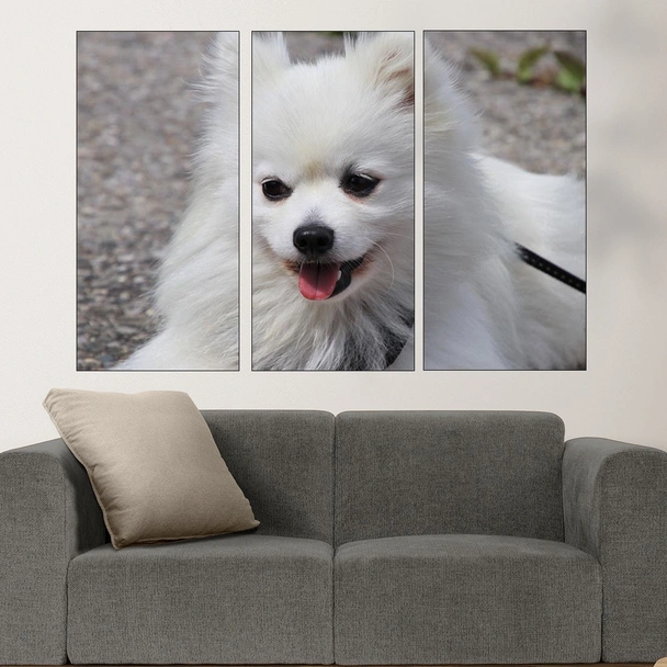 Потрет на бял шпиц  - картина пано за стена - Image 2