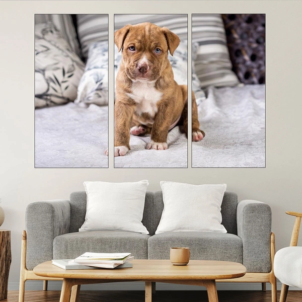 Портрет на малък питбул - картина пано за стена - Image 2