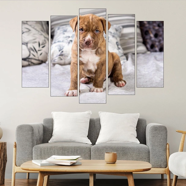 Портрет на малък питбул - картина пано за стена - Image 3