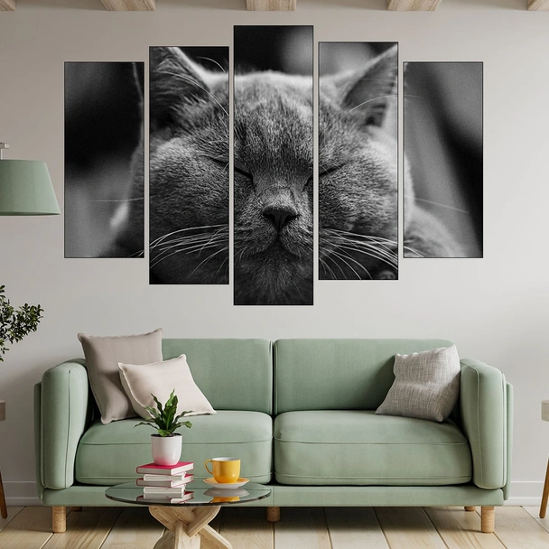 Дремеща сива котка - картина пано за стена - Image 3