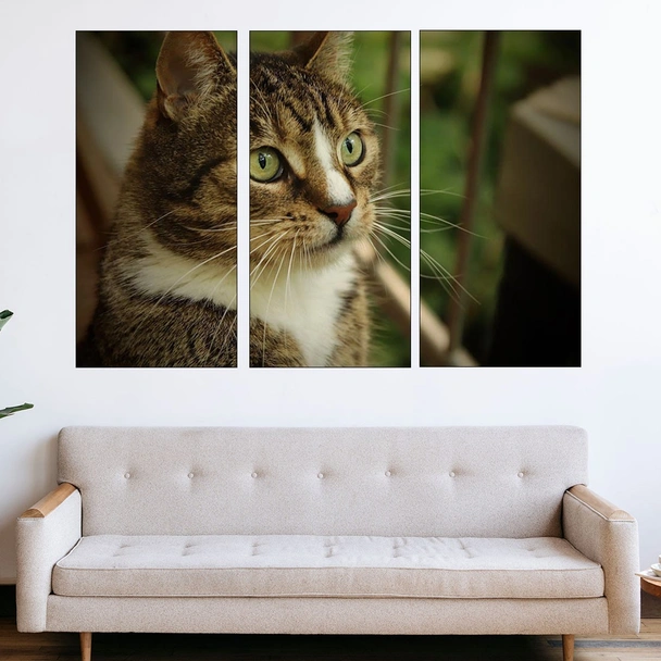 Портрет на домашна котка - картина пано за стена - Image 2
