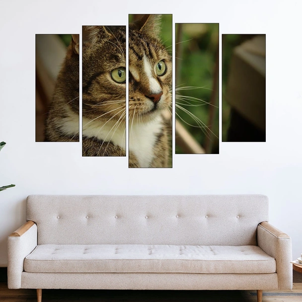 Портрет на домашна котка - картина пано за стена - Image 3