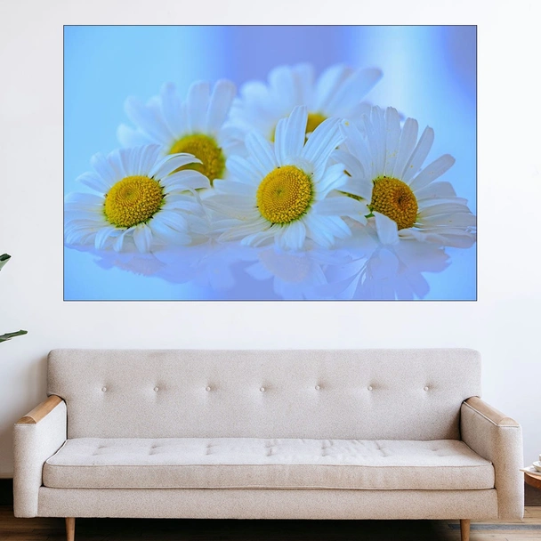 Бели маргаритки - картина пано за стена