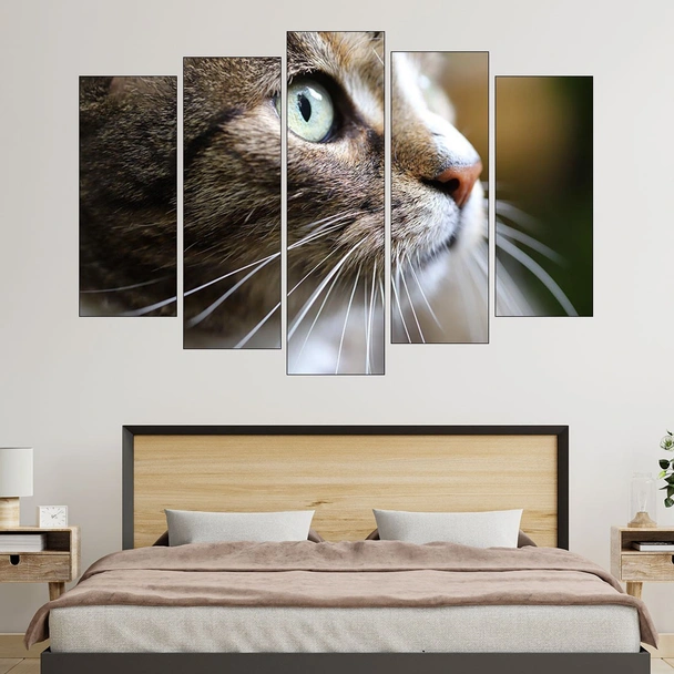 Макро снимка на коте - картина за стена - Image 3