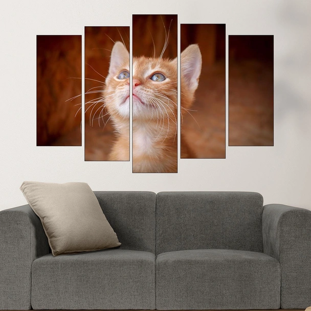 Малко оренжево коте - картина пано за стена - Image 3