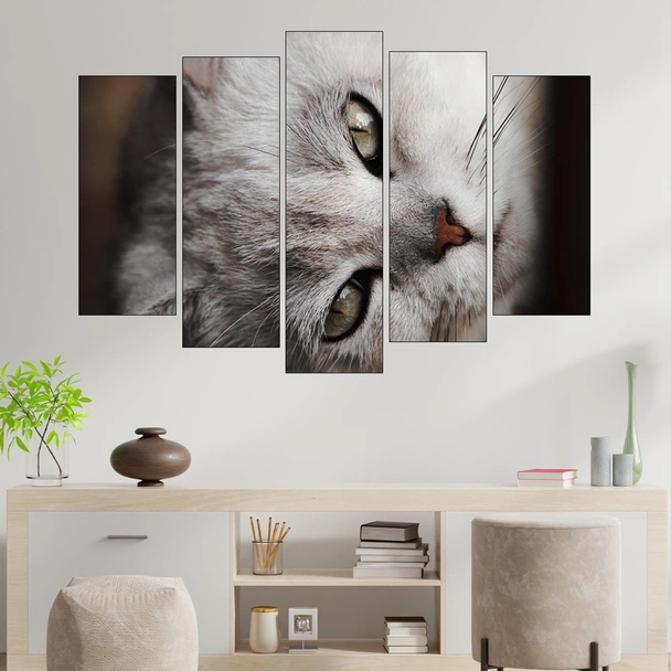 Сива котка в близък план - картина пано за стена - Image 3