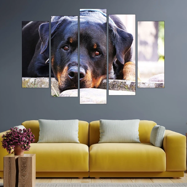 Почиващ си ротвайлер - картина пано за стена - Image 3