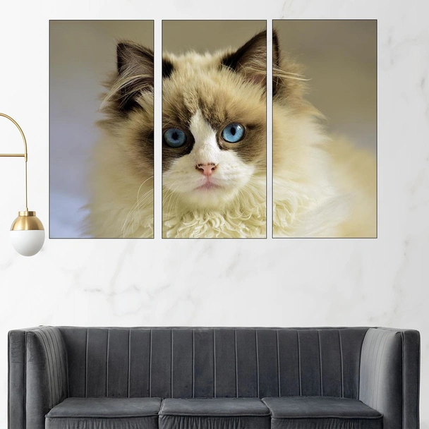 Портрет на синеока котка - картина пано за стена - Image 2