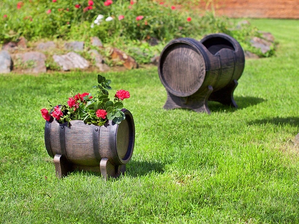 Саксия Салса малка S ROTO - Image 2