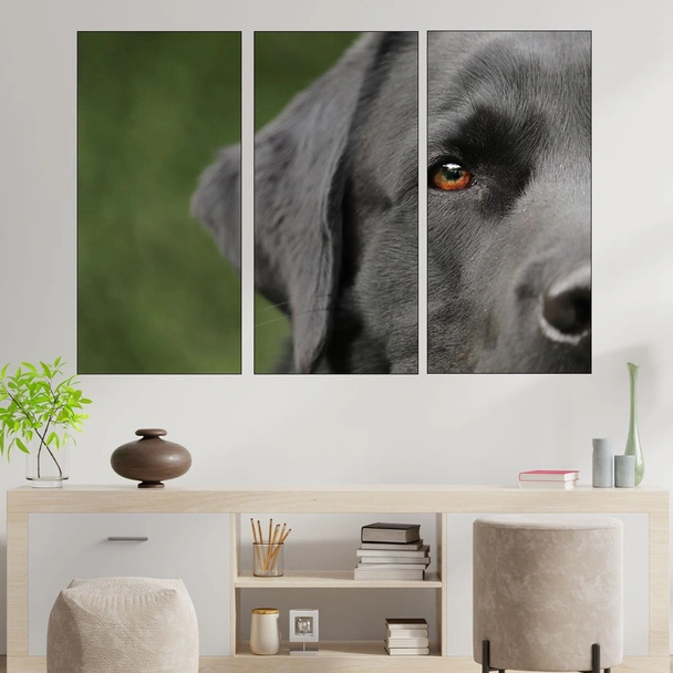 Потрет на куче лабрадор - картина пано за стена - Image 2