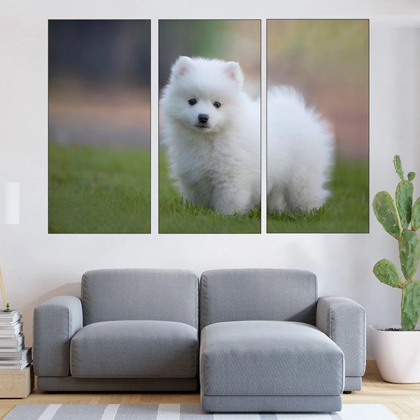 Малък бял японски шпиц - картина пано за стена - Image 2