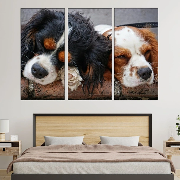 Спящи кученца Кавалер - картина пано за стена - Image 2