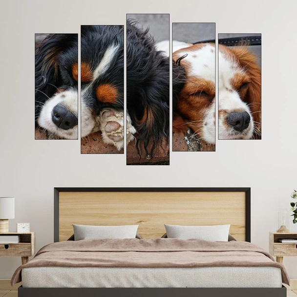 Спящи кученца Кавалер - картина пано за стена - Image 3