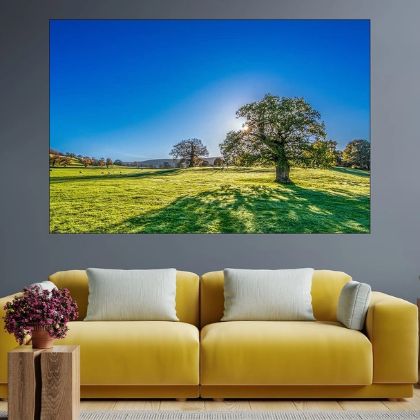 Вековно дърво в поляна - картина пано за стена