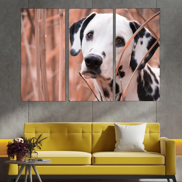 Далматинец -портрет - картина пано за стена - Image 2